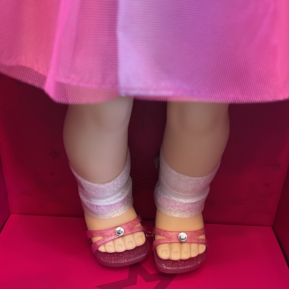 Custom American Girl Doll as seen in Trisha’s YouTube Video NWT - ONLY ONE - Picture 4 of 8